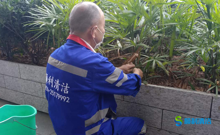 工业园清洁外包